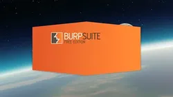 learn-burp-suite-the-nr-1-web-hacking-tool-2563