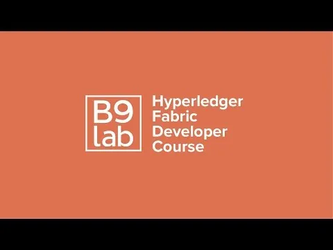 learn-hyperledger-b9lab-hyperledger-fabric-developer-course-teaser-9016