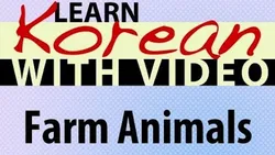 learn-korean-learn-with-video-9991