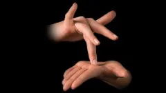 Learn & Master Sign Language