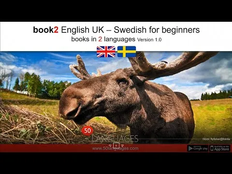 learn-swedish-100-lessons-for-beginners-16512