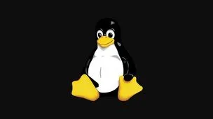 linux-command-lines-and-administration-in-2-days-10329