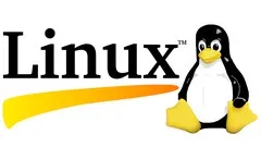 linux-essentials-skill-test-10511