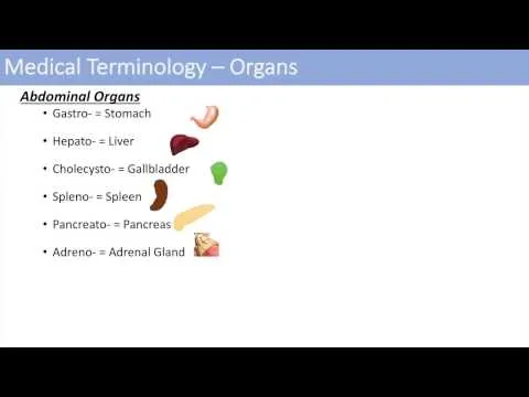 medical-terminology-the-basics-lesson-1-11027