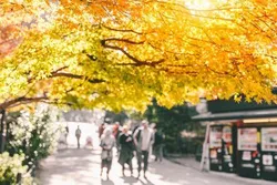 Nature Connectedness with the University of Derby