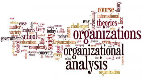 Organizational Analysis