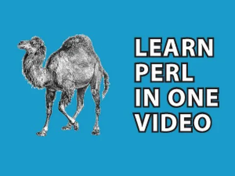 perl-tutorial-12781