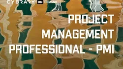 pmp-project-management-professional-course-13142