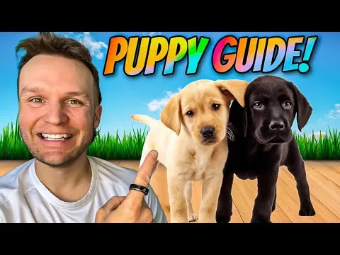 puppy-training-the-first-5-things-to-teach-any-puppy-12895