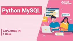 Python MySQL