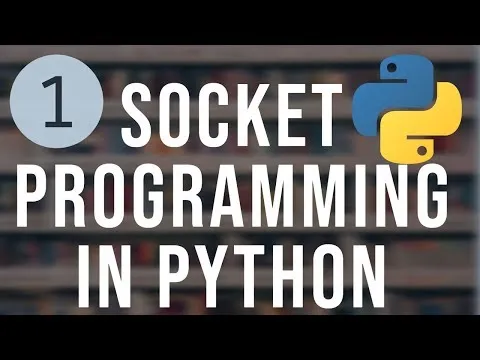 python-socket-programming-tutorial-1-basics-of-networking-15760