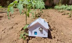 School gardens for future citizens