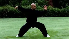 tai-chi-chen-style-16673