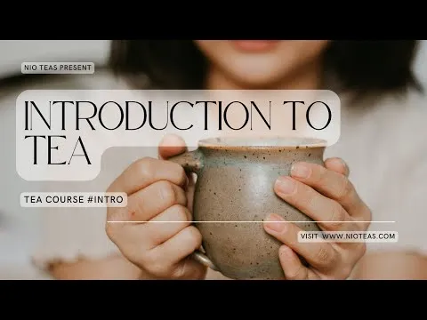 tea-course-introduction-to-tea-16762