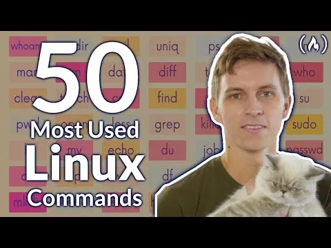 The 50 Most Popular Linux & Terminal Commands - Full Course for Beginners