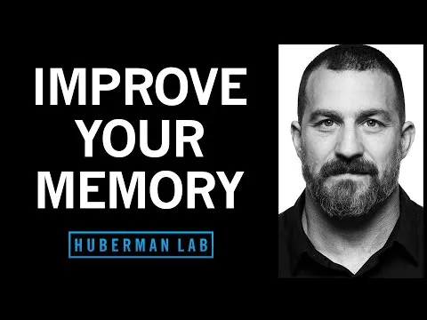 understand-improve-memory-using-science-based-tools-huberman-lab-podcast-72-11087