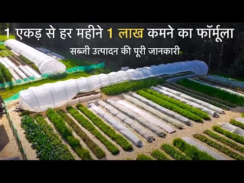 vegetable-farming-handbook-how-to-do-organic-farming-vegetable-business-6773