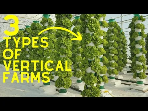 vertical-farming-2023-3-different-types-of-vertical-farms-6775