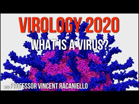 virology-lectures-2020-1-what-is-a-virus-17701