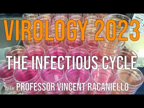 virology-lectures-2023-2-the-infectious-cycle-17706