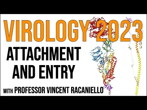 virology-lectures-2023-5-attachment-and-entry-17705