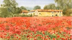 watercolor-painting-with-master-step-by-step-poppy-field-17906