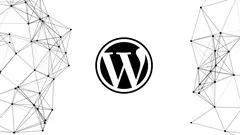 website-design-build-your-wordpress-site-in-just-30-minutes-18379