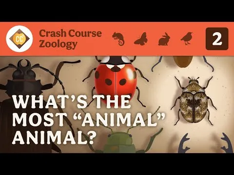 what-the-most-auanimal-crash-course-zoology-2-18567