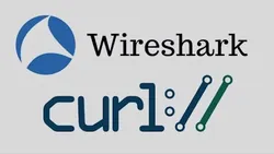 Wiresharking All Protocols