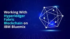 Working With Hyperledger Fabric Blockchain on IBM Bluemix