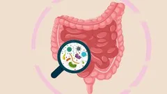 Your Gut Health