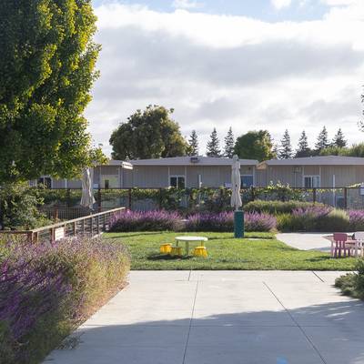 la-scuola-international-silicon-valley-113466
