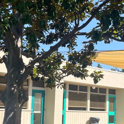 leadways-school-114698