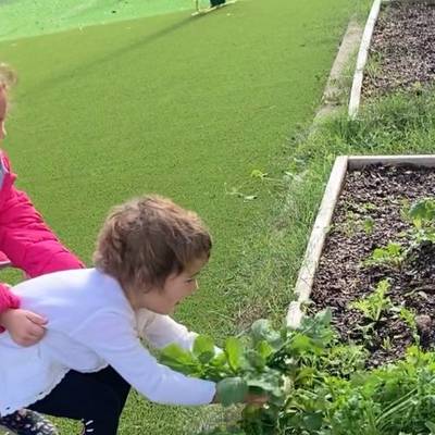 molo-bilingual-montessori-school-89808