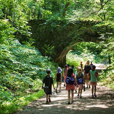 the-waldorf-school-of-philadelphia-89996