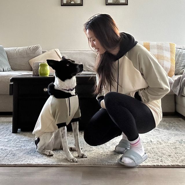 Abby’s Pet-igree
