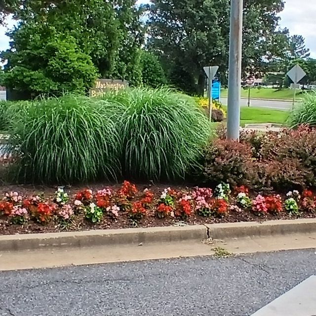 Abner_landscape