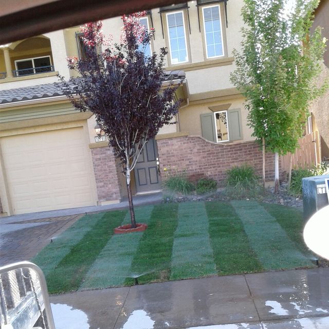 Aces Lawn care 775 &772 &2938