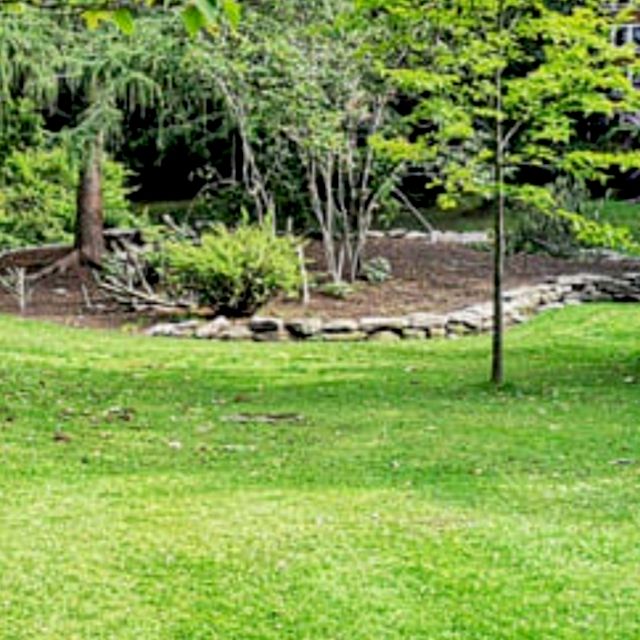Acosta landscaping