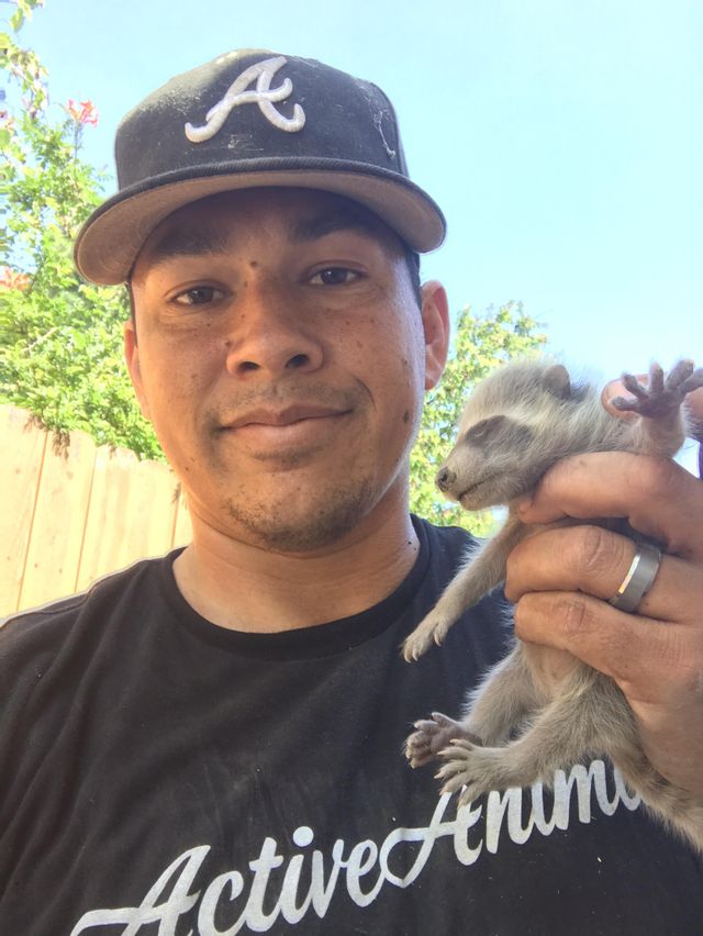 Active Animal Trapping