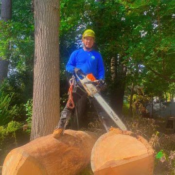 Adan Tree Services Inc