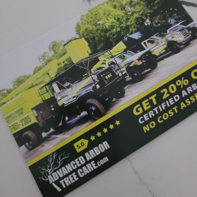 Advanced Arbor professional tree care
