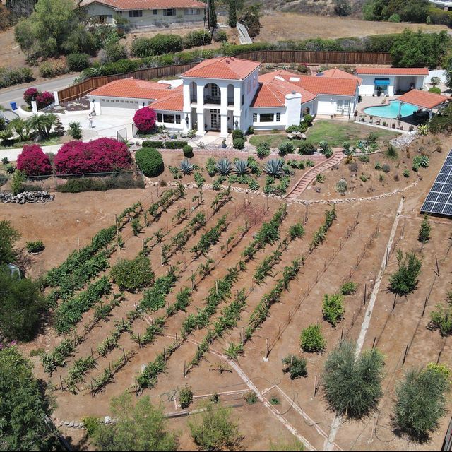 Aerial Media Visions