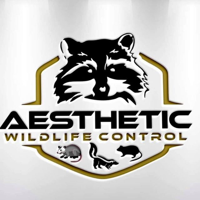 AESTHETIC RODENT AND WILDLIFE CONTROL 24/7