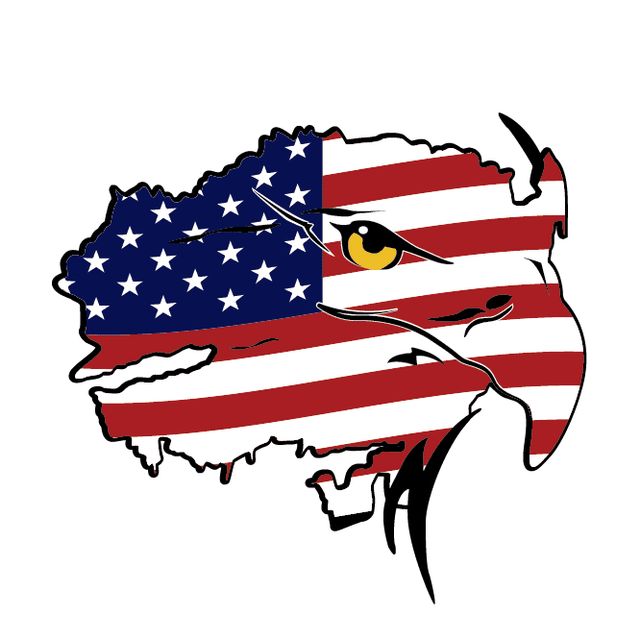 All American Brush Removal