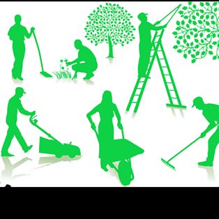 All Around Lawn and Landscaping
