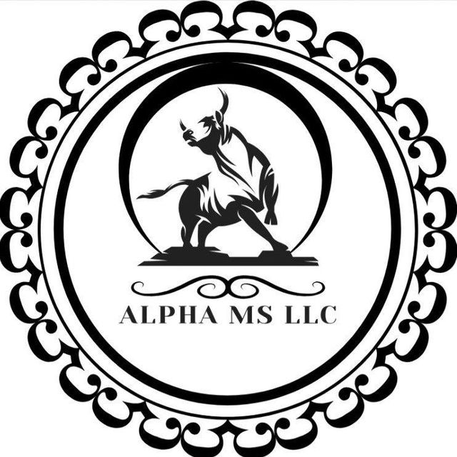 ALPHA MS LLC