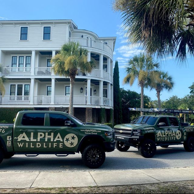 Alpha Wildlife