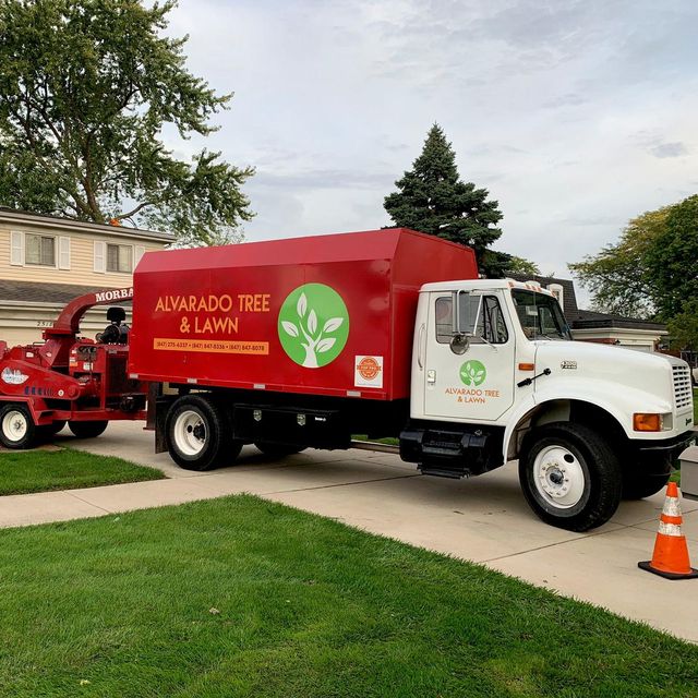 Alvarado Tree & Lawn