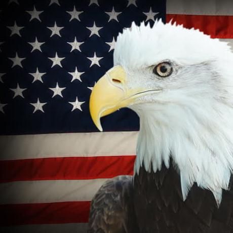 American Eagle Properties, inc.